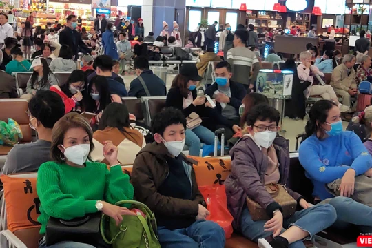 TP.HCM đã làm gì để chống ùn tắc hơn 1.000 người nhập cảnh tại sân bay khi triển khai lấy mẫu xét nghiệm tại chỗ (Ảnh: Hòa Bình) 