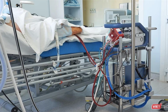 Bệnh nhân 91 đang được can thiệp ECMO, phổi trái đông đặc 1/2, dương tính trở lại (Ảnh: SYT) 