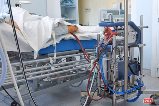Bệnh nhân 91 đang được can thiệp ECMO, phổi trái đông đặc 1/2, dương tính trở lại (Ảnh: SYT) 