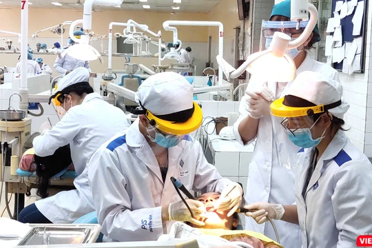 Sinh viên Khoa Răng Hàm Mặt - ĐH Y Dược TP.HCM làm việc tại khoa (Ảnh: Hòa Bình) 