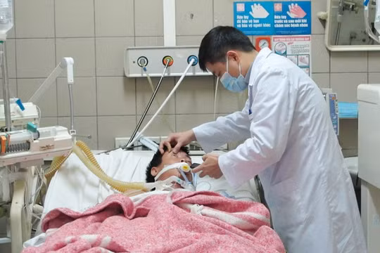 Cấp cứu bệnh nhân ngộ độc (Ảnh: Trung tâm Chống độc BV Bạch Mai)