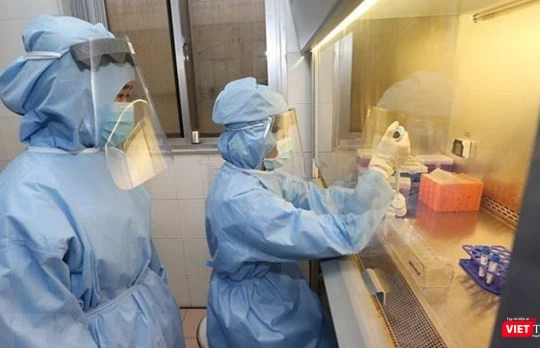 Bệnh nhân 91 phi công người Anh được xét nghiệm COVID-19 hàng ngày để xác định virus SARS-CoV-2 (Ảnh: BYT) 