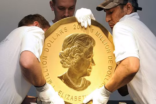 Đồng tiền vàng nguyên chất nặng 100 kg