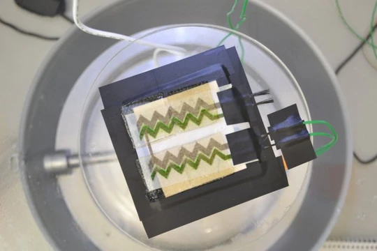 Tấm nền quang năng sinh học. Ảnh: Imperial College London