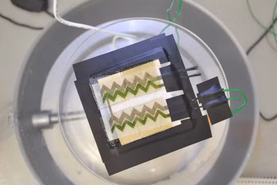 Tấm nền quang năng sinh học. Ảnh: Imperial College London