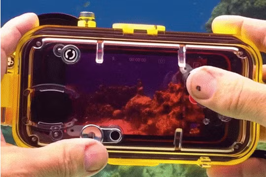 LenzO có khả năng giúp iPhone 7/7 Plus ghi được hình ảnh ở độ sâu 100 mét