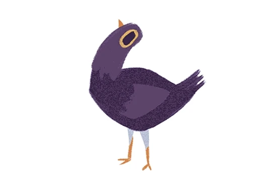 Con chim có tên là "Trash Doves"