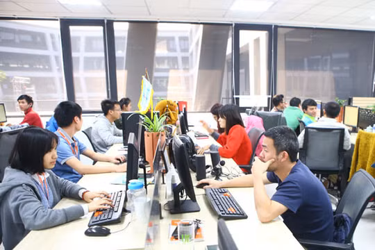 Các nhà tuyển dụng luôn tìm kiếm những nhân sự ngành CNTT giỏi chuyên môn và ngoại ngữ (Ảnh minh họa)