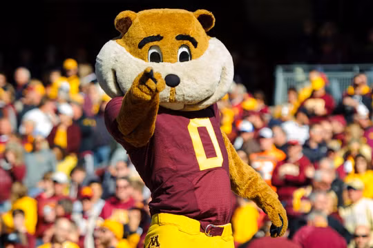 Con vật may mắn của Go là chú chuột vàng