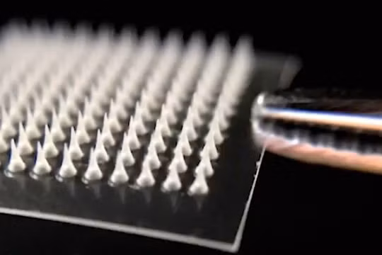 Miếng dán gồm rất nhiều mũi kim siêu nhỏ có thể đánh tan mỡ thừa hiệu quả. Ảnh: Sciencealert
