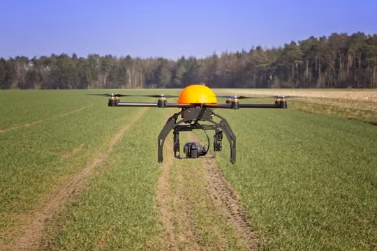 Drone tự trồng cây thay thế con người.