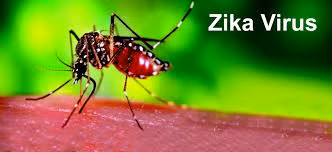 Virus Zika (nguồn Internet)