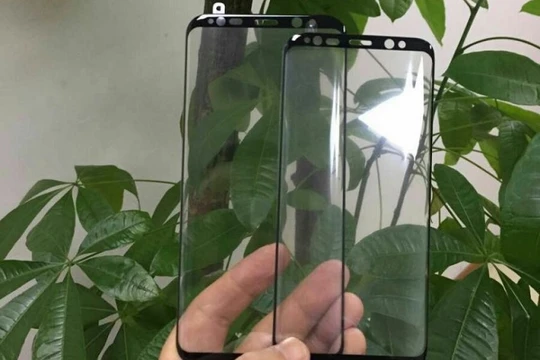 Hình ảnh rò rỉ được cho là tấm kính bảo vệ màn hình của Galaxy S8