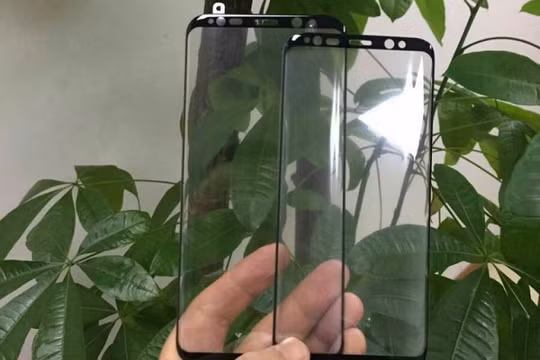 Hình ảnh rò rỉ được cho là tấm kính bảo vệ màn hình của Galaxy S8