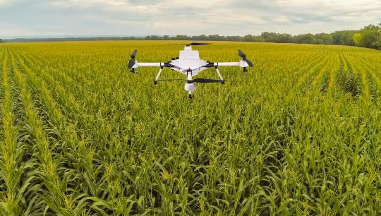 Nông nghiệp 4.0 (nguồn Dân Việt)