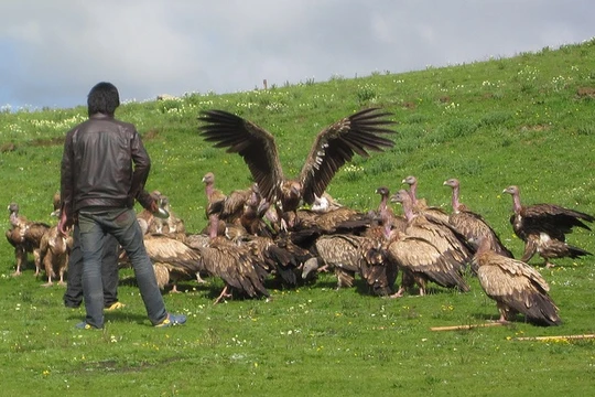 Tại một địa điểm thiên táng