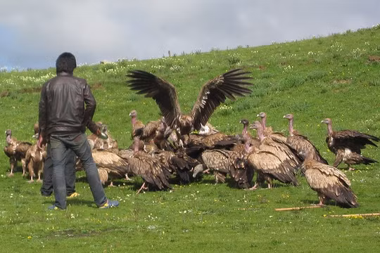 Tại một địa điểm thiên táng