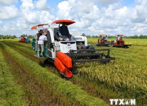 Doanh nghiệp Đồng bằng sông Cửu Long trước cuộc cách mạng công nghiệp 4.0. Ảnh minh họa