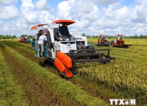 Doanh nghiệp Đồng bằng sông Cửu Long trước cuộc cách mạng công nghiệp 4.0. Ảnh minh họa