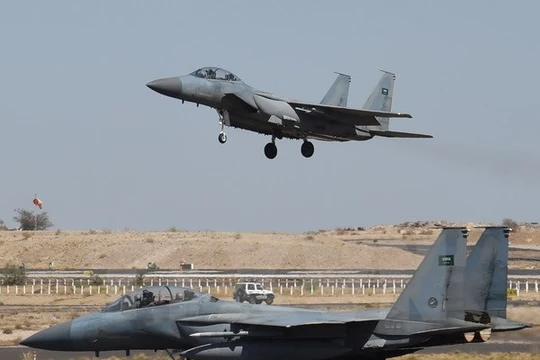 Máy bay tiêm kích F-15 của Nhật Bản. (Nguồn: AFP/TTXVN)