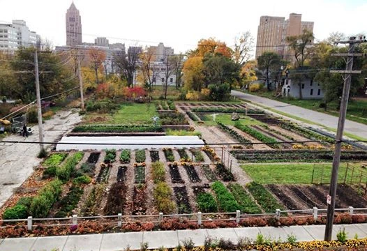 Trang trại tại Detroit 