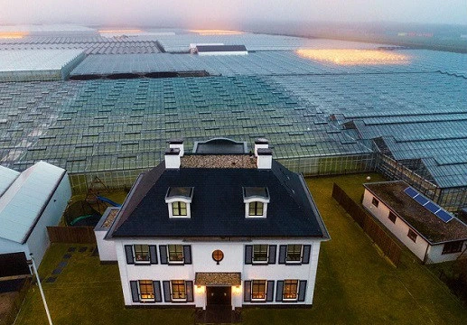 Trang trại nông nghiệp ở Hà Lan