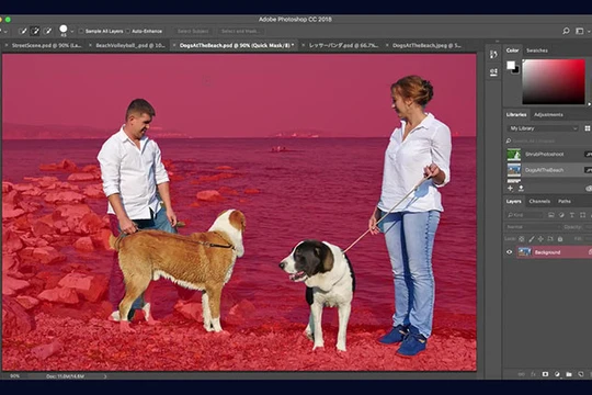 AI của Adobe sẽ giúp xác định chủ đề và nền trong những bức hình phức tạp tốt hơn. ẢNH: ADOBE