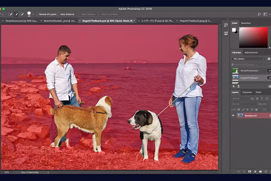 AI của Adobe sẽ giúp xác định chủ đề và nền trong những bức hình phức tạp tốt hơn. ẢNH: ADOBE