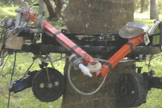 Ảnh robot trong thực tế