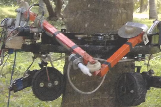 Ảnh robot trong thực tế