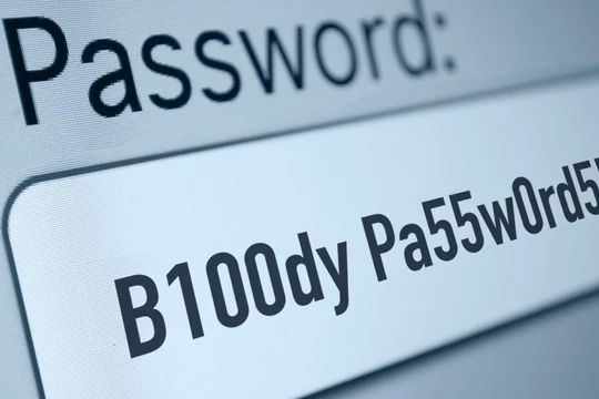 Hình minh họa: BI