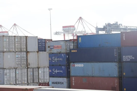 Lô 118 container chứa xe BMW được xác định do BMW Euro Auto nhập về. Ảnh: Hân Nguyễn.