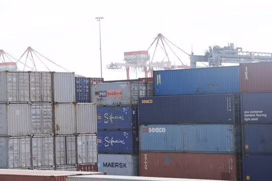 Lô 118 container chứa xe BMW được xác định do BMW Euro Auto nhập về. Ảnh: Hân Nguyễn.