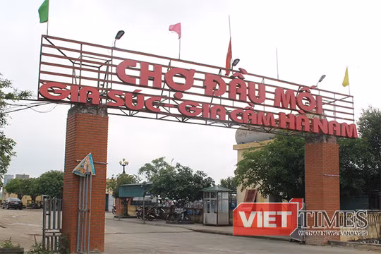 “Thủ phủ” lợn miền Bắc