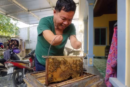 Ông Linh nuôi đàn ong mật với những dụng cụ đã được cải tiến để phù hợp với bản thân.