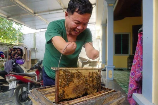 Ông Linh nuôi đàn ong mật với những dụng cụ đã được cải tiến để phù hợp với bản thân.