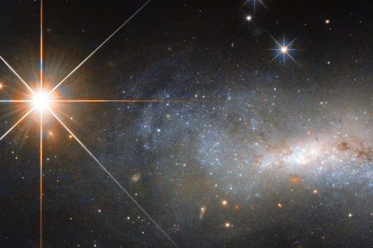 Ảnh minh họa: BRG