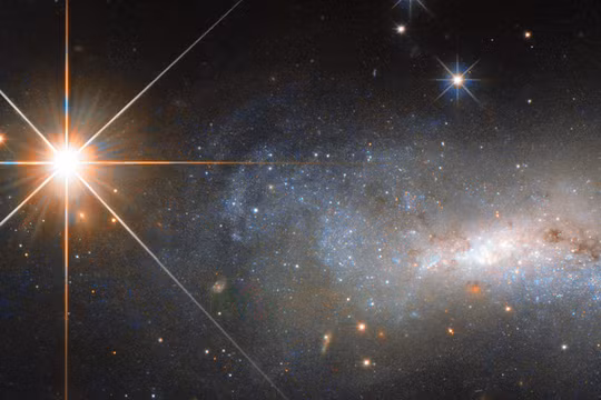 Ảnh minh họa: BRG