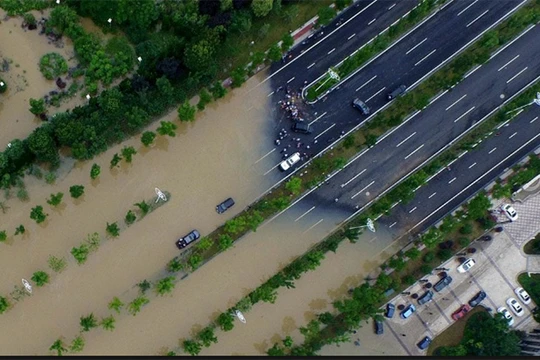 Ảnh minh họa (Nguồn: Futurism) 