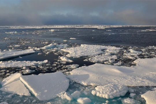 Ảnh minh họa. Nguồn: Futurism