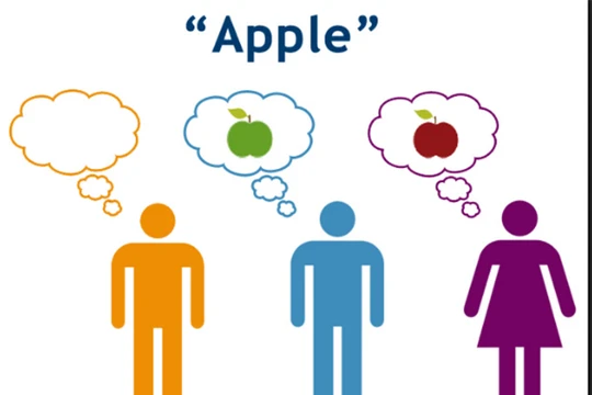 ảnh minh họa. Nguồn: The Neurocritic - blogger