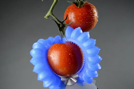 Ảnh minh họa. Nguồn: Futurism