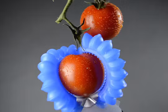 Ảnh minh họa. Nguồn: Futurism