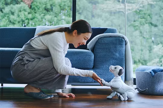 Robot thú cưng Aibo (ảnh: YouTube)