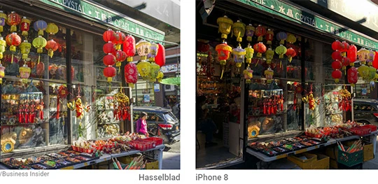 So sánh ảnh chụp giữa máy ảnh Hasselblad X1D và iPhone 8 Plus (ảnh: Business Insider)