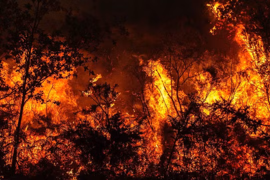 Ảnh: Digital Trends