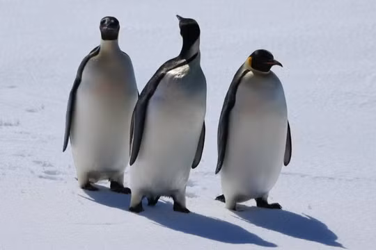 Ảnh: News Info Park