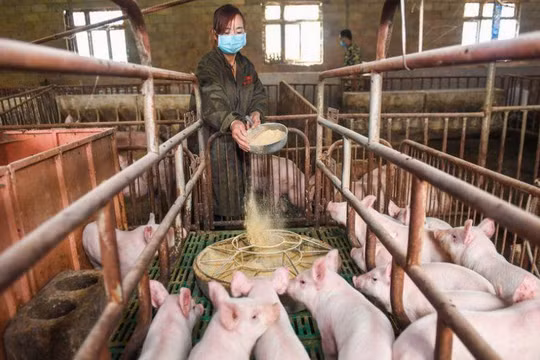 Ảnh: Yahoo Finance