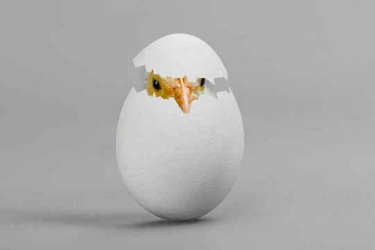 Sự gia tăng của các nền tảng như Google và Facebook có thể theo dõi hành vi của người dùng và nhắm mục tiêu người dùng bằng quảng cáo đã buộc các tổ chức báo chí, truyền thông phải xem xét lại mối quan hệ với độc giả và cân bằng lại mô hình doanh thu. Ảnh: What's New In Publishing