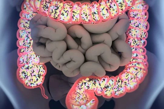 Các vi khuẩn đường ruột có thể trở thành "vị cứu tinh" cho những người mắc bệnh trầm cảm. Ảnh: IFL Science